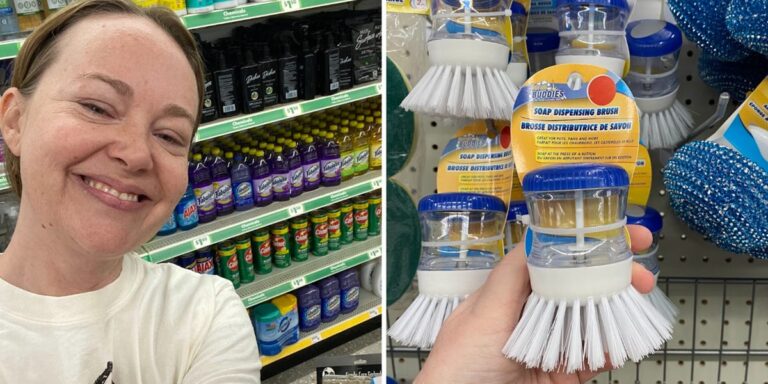 I’m a Former Professional Cleaner: Best Supplies at Dollar Tree