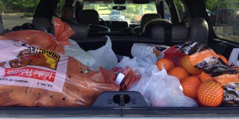 I Have 10 Kids — Best Tips for Buying Groceries Cheaply