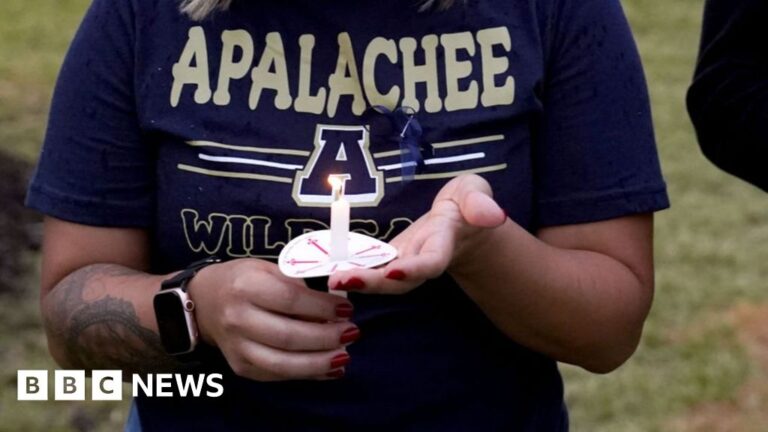 Georgia shooting suspect’s mother warned school of ’emergency’, US media reports