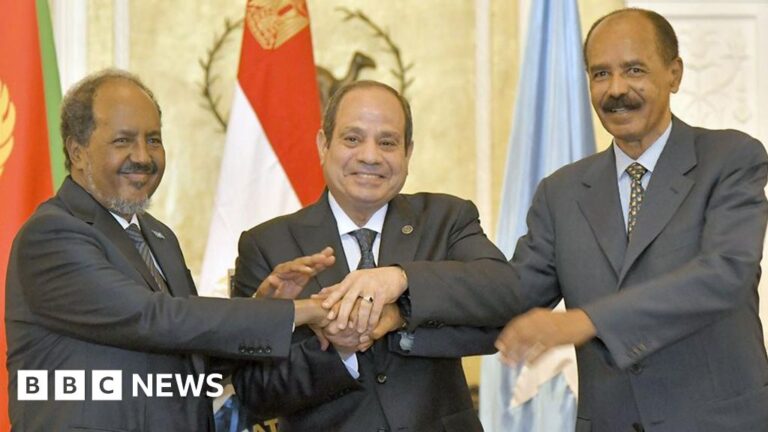 Eritrea, Egypt and Somalia cement ‘axis against Ethiopia’