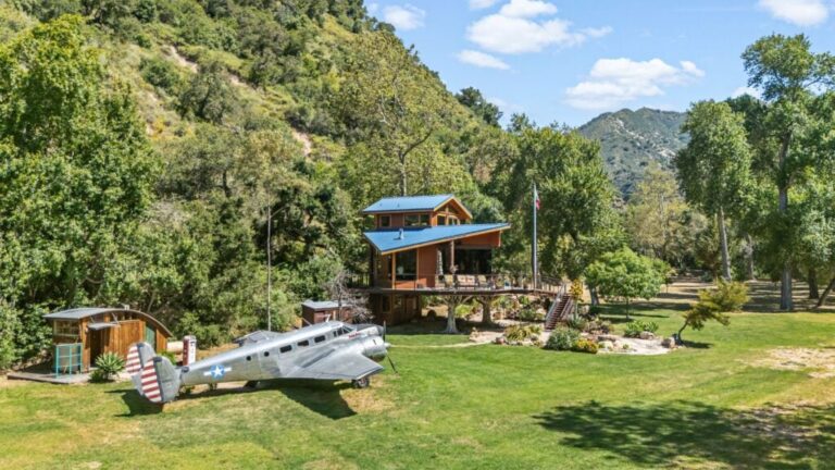 A 25-Acre Treehouse Haven With Own Airplane Guest Room Hits Market