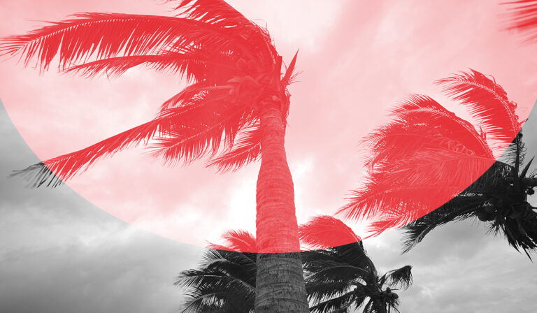 Tampa housing market comes to a halt as Hurricane Milton looms