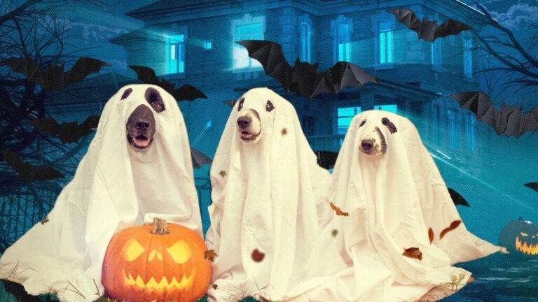 Monster Mash Your Marketing With A Halloween-Themed Open House