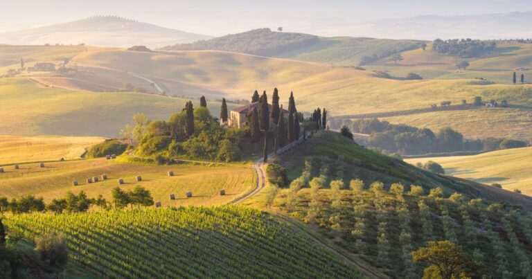 Silicon Valley Types Want to Build a City Named Esmeralda