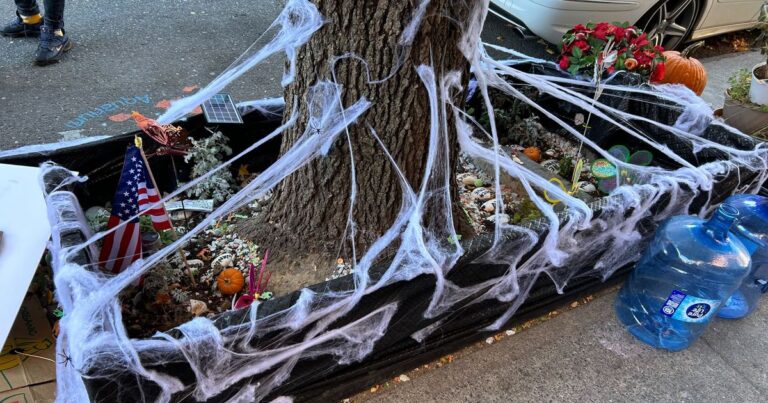 The Bed-Stuy Aquarium Dried Up and All the Fish Died