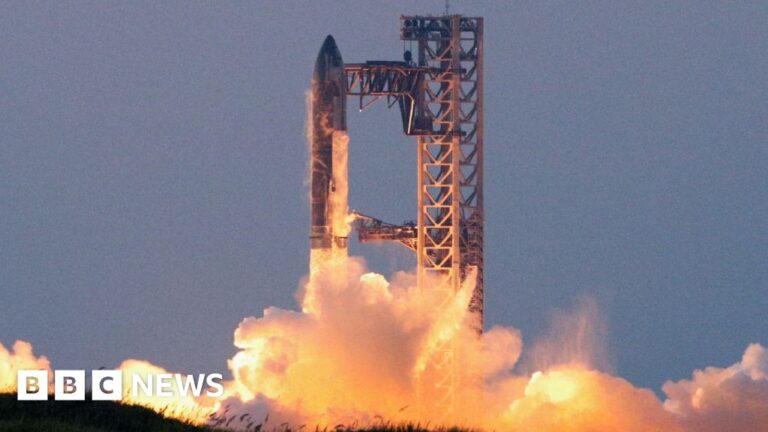 Why is Elon Musk becoming Donald Trump’s efficiency adviser?