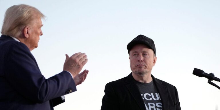 Trump Says Elon Musk Will Run Department of Government Efficiency