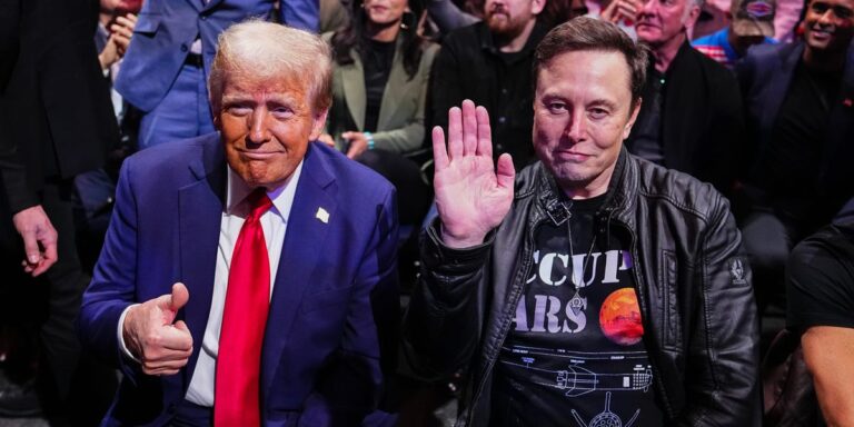 Elon Musk Says He’s Had Little to Do With Trump’s Cabinet Picks