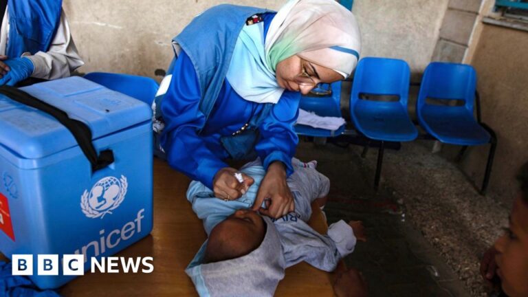 Gaza polio vaccination drive to restart in north of territory