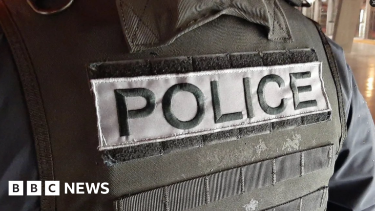 Shooting sparks mass brawl involving ‘hundreds of people’
