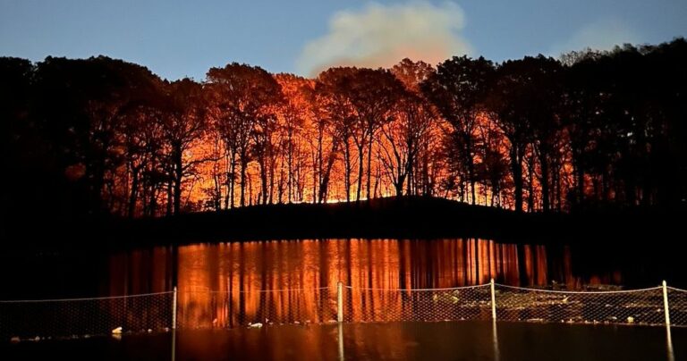 Brush Fires Burned in Prospect Park and the Palisades