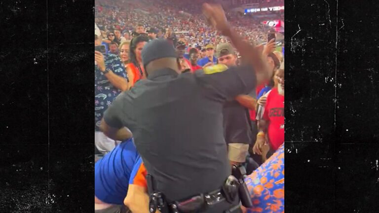 Police Beat the Crap out of Fans on Video at College Football Game