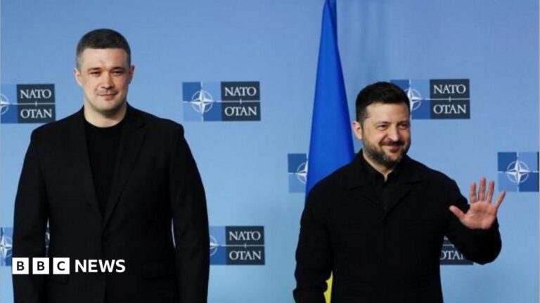 Ukraine’s ousted defence chief rejects Zelensky’s job offer