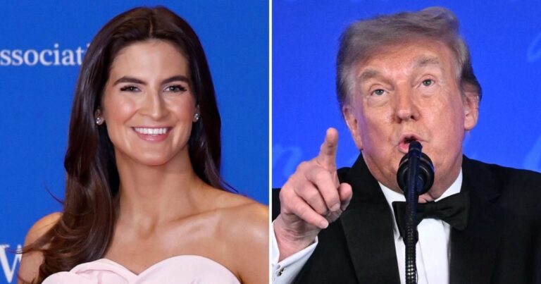 Kaitlan Collins Seemingly Responds to Donald Trump Insult