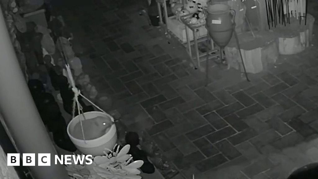 Hedgehog’s overnight antics caught on Swanage gift shop’s CCTV Hedgehog's overnight antics caught on Swanage gift shop's CCTV
