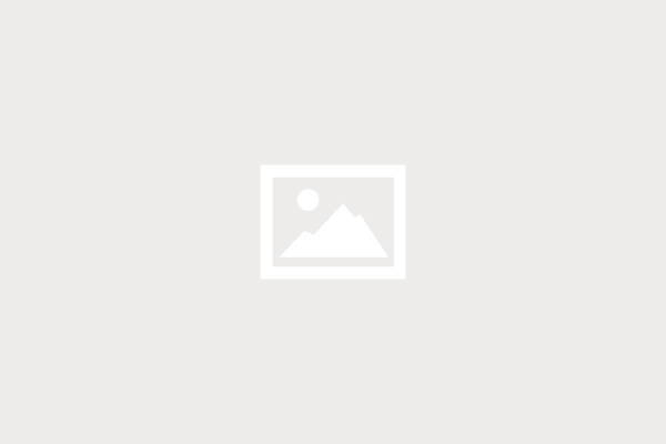 The ASX logo