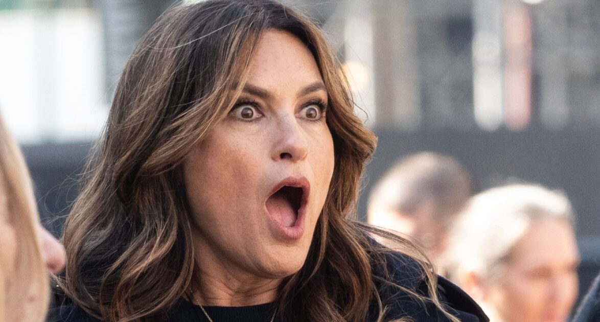It’s Official: This ‘Law & Order: SVU’ Fan It's Official: This ‘Law & Order: SVU’ Fan