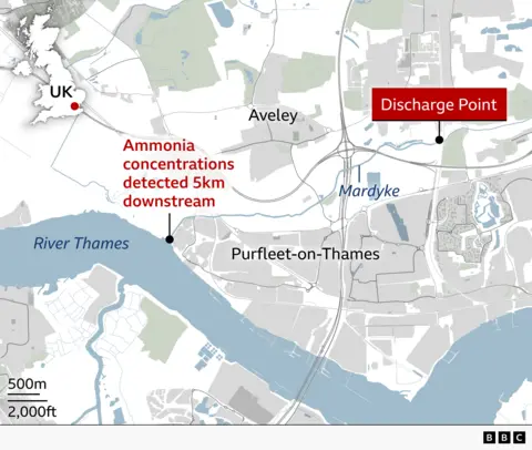 Map showing a sewage discharge point near Aveley and Purfleet-on-Thames in Essex, and a location on the River Thames where elevated ammonia concentrations were detected 5km downstream. An inset map highlights the location within the UK.
