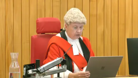 PA Media Mrs Justice Cutts sentencing in a courtroom looking at a laptop and wearing her official judge's wig and clothes