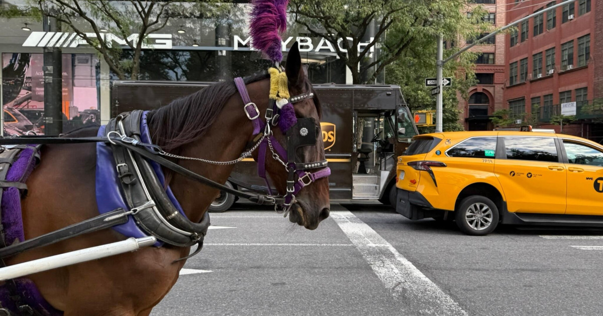 New York City ends the use of carriage horses New York City ends the use of carriage horses