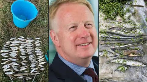 Environment Agency/HS2 Composite picture. On the far left and far right, images of dead fish including a pike.  In the centre, a smiling middle aged man wearing a suit and tie